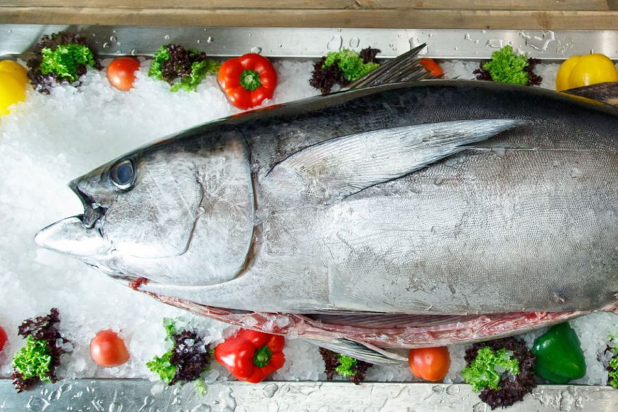 Розбір величезного жовтоперого тунця та приготування страв з нього